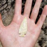 Projectile Point