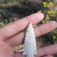 Projectile Point